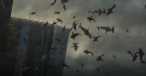 Now there's something you don't see every day...